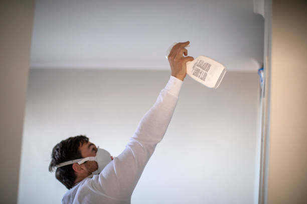 Best Kitchen Mold Remediation in New Franklin, MO