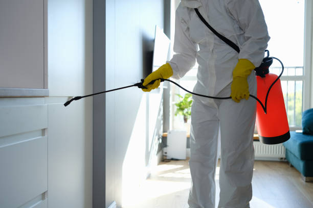 Best Mold Remediation for Specific Building Types in New Franklin, MO