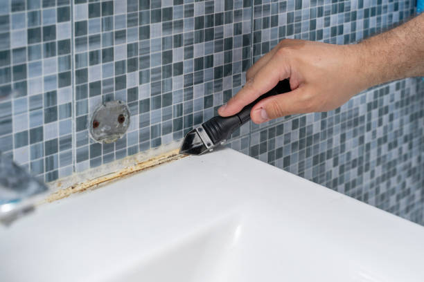 Best Basement Mold Remediation in New Franklin, MO
