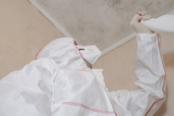 Best Bathroom Mold Remediation in New Franklin, MO